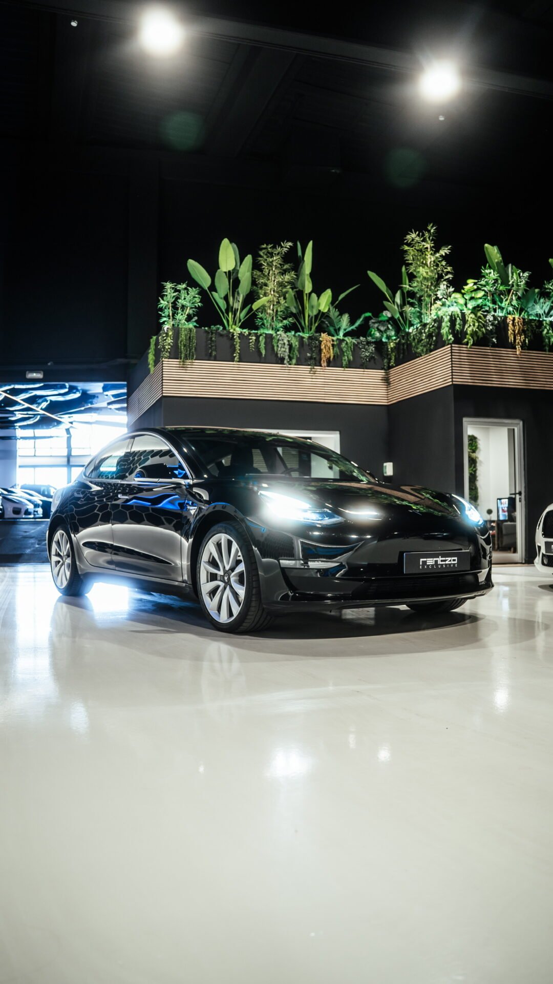 TESLA Model 3 Dual motor long range