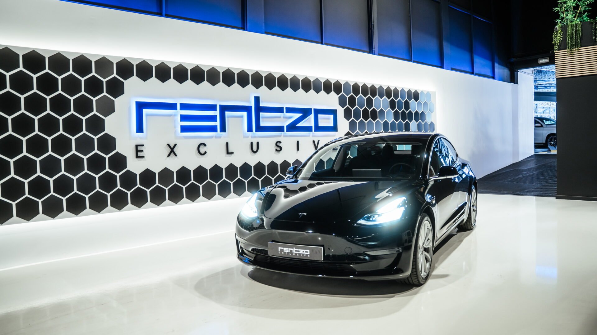 TESLA Model 3 Dual motor long range