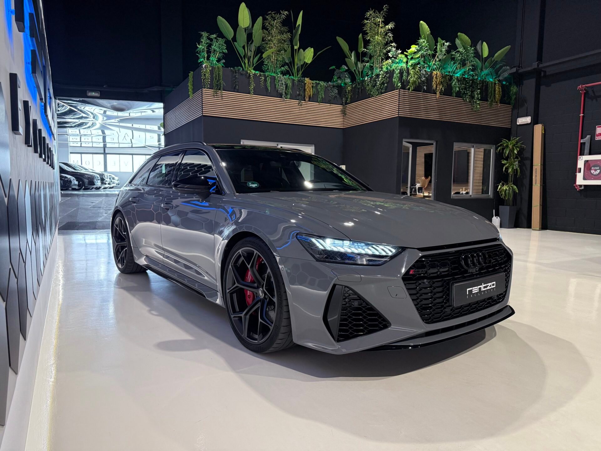 AUDI RS6 PERFORMANCE